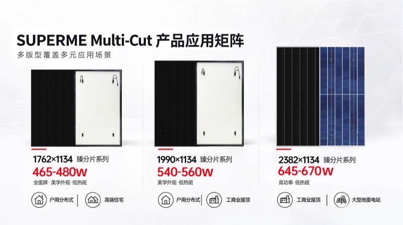 Multi-format WELTRUS multi-busbar module application matrix